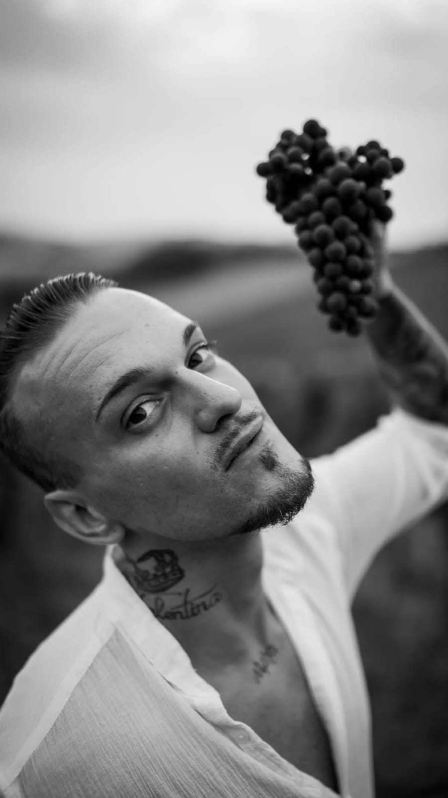 LUKSUZNO CRVENO MILOŠ