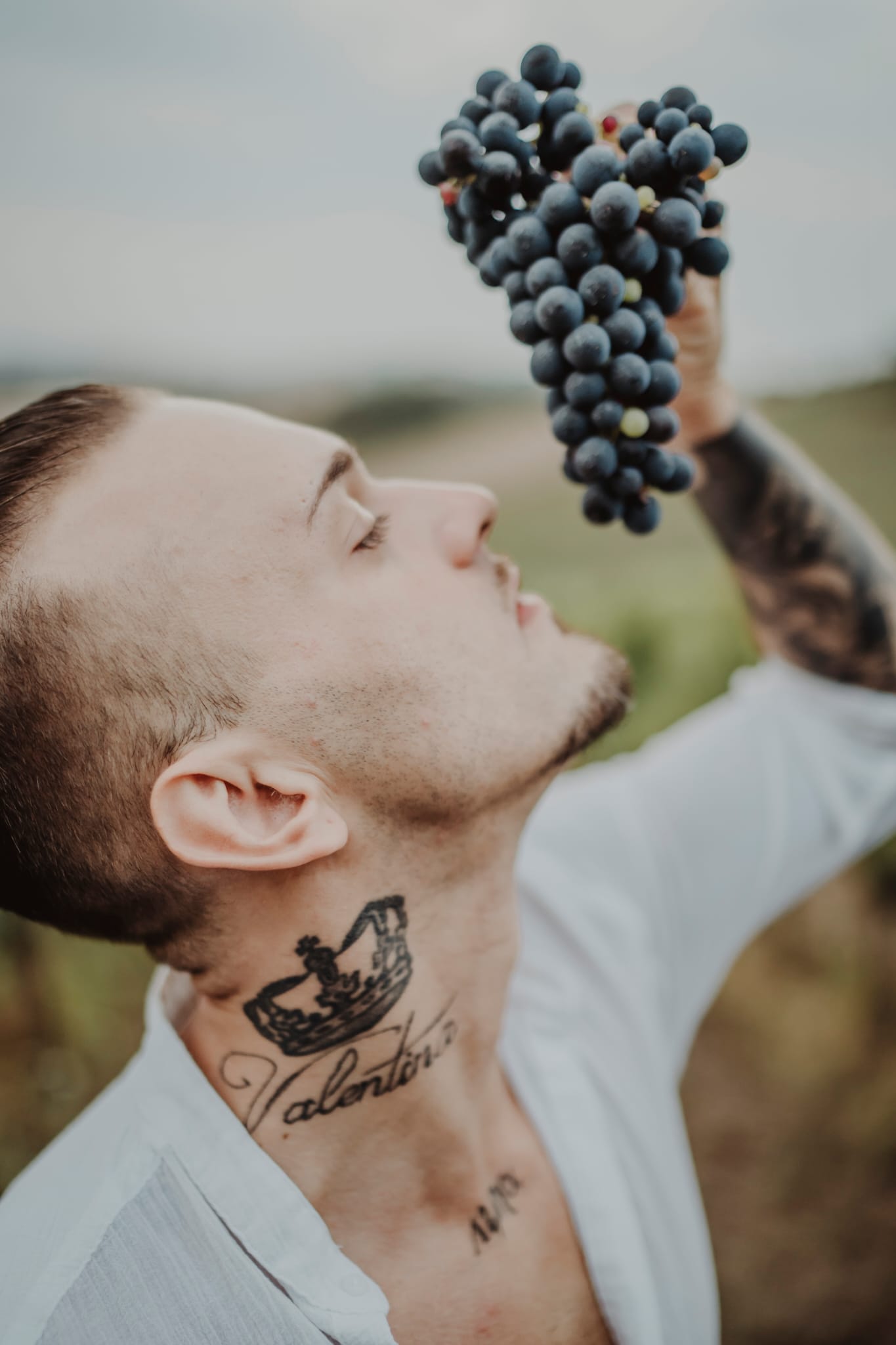 LUKSUZNO CRVENO MILOŠ